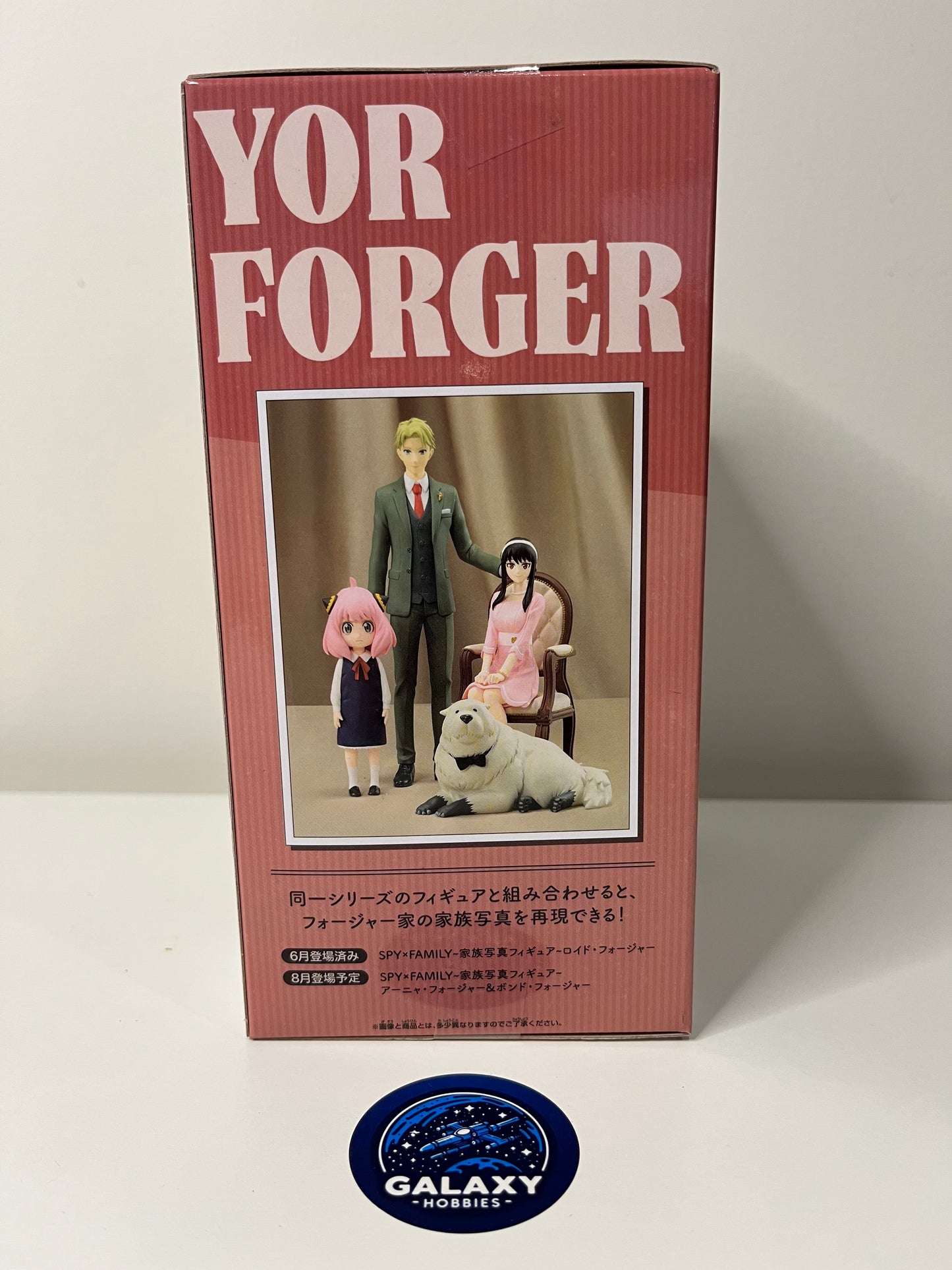 SPY x FAMILY - Family Photo Figure - Yor Forger - 4983164882476